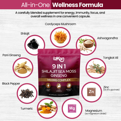 Shilajit Sea Moss Ginseng Capsules 1450mg – 9 in 1 Complex with Ashwagandha, Cordyceps, Zinc & Magnesium – Natural Energy, Immunity, Focus & Testosterone Support – 90 Capsules (1)
